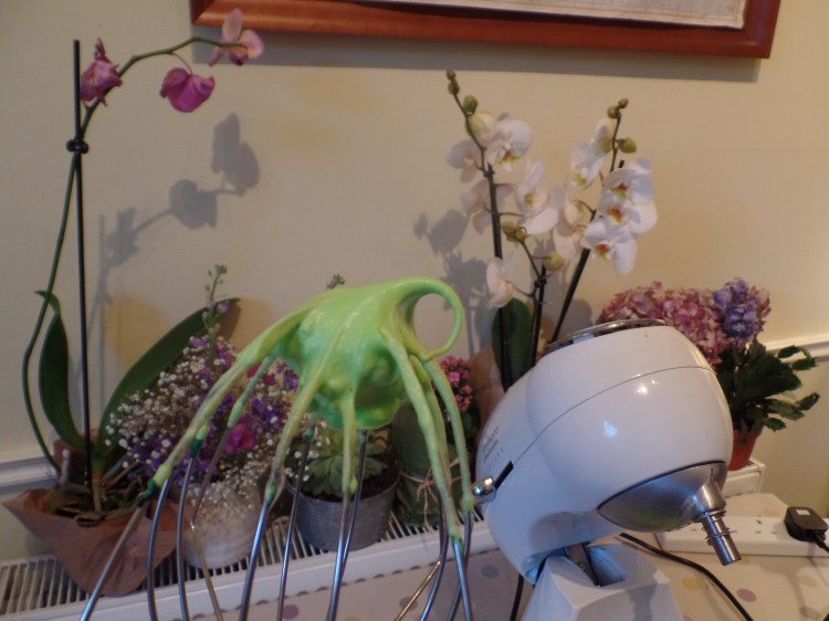 SAMSUNG CAMERA PICTURES