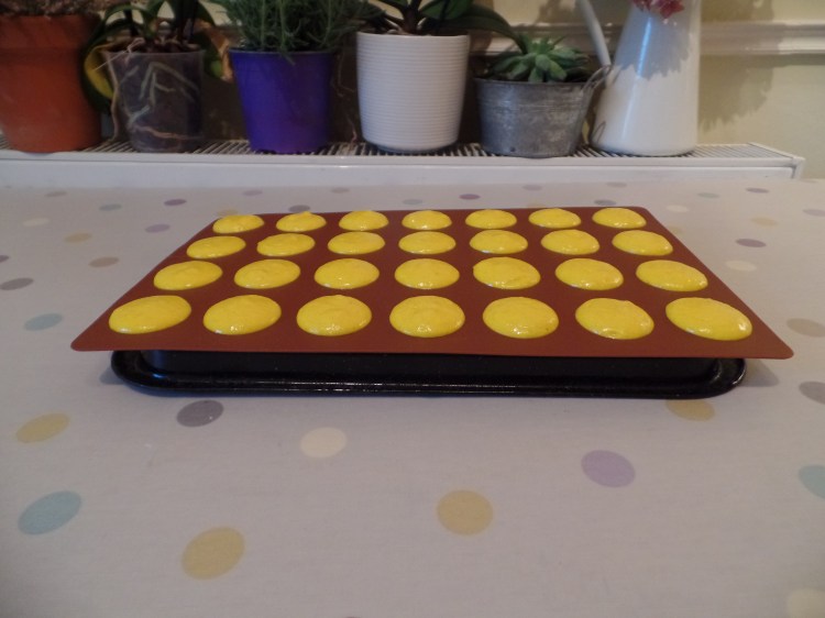 SAMSUNG CAMERA PICTURES