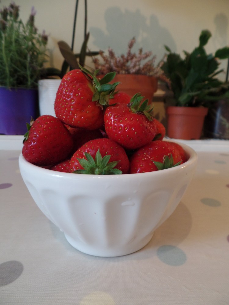 SAMSUNG CAMERA PICTURES