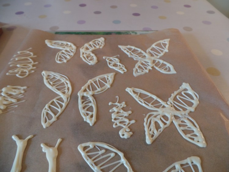 SAMSUNG CAMERA PICTURES