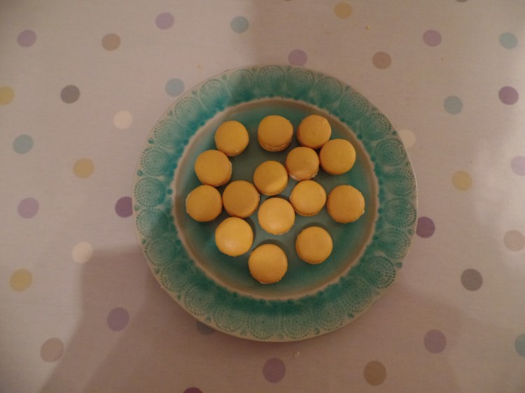 SAMSUNG CAMERA PICTURES