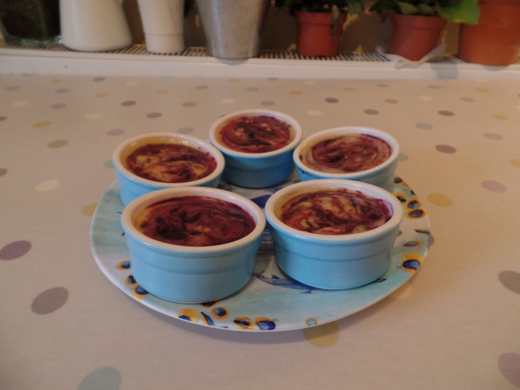 SAMSUNG CAMERA PICTURES