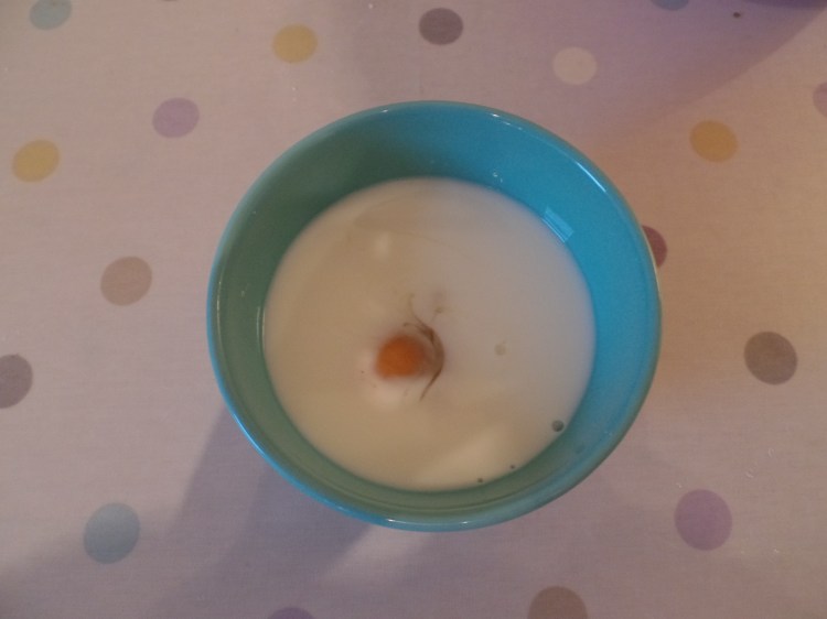 SAMSUNG CAMERA PICTURES