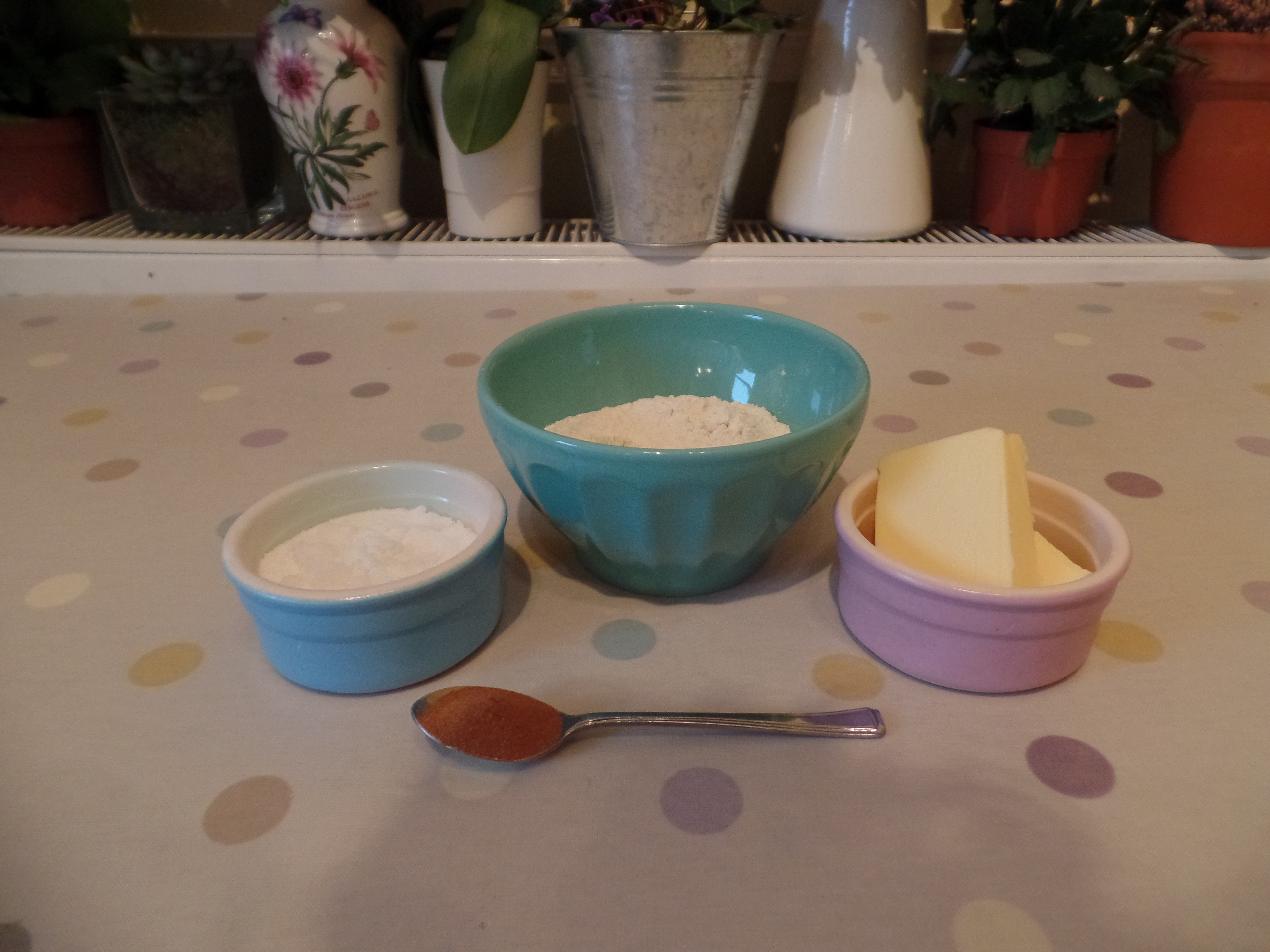 SAMSUNG CAMERA PICTURES