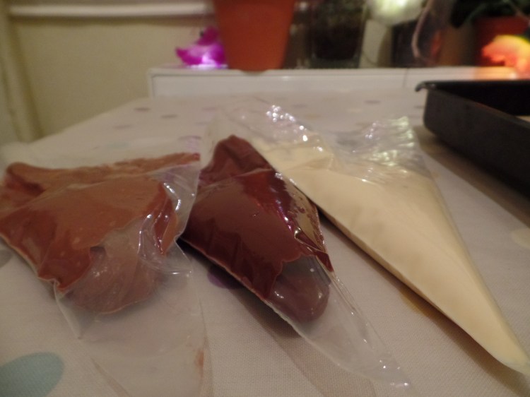 SAMSUNG CAMERA PICTURES