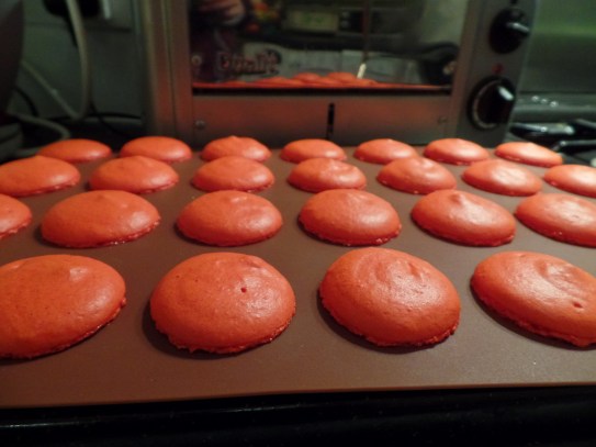 SAMSUNG CAMERA PICTURES