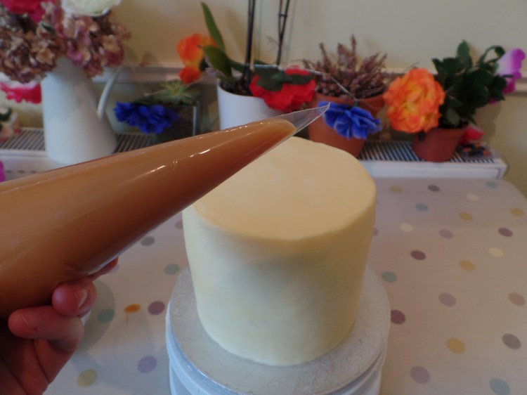 SAMSUNG CAMERA PICTURES