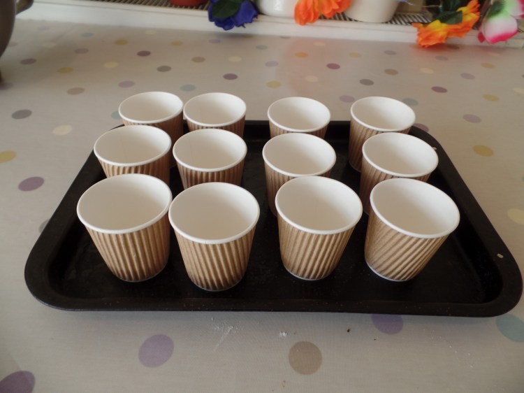 SAMSUNG CAMERA PICTURES