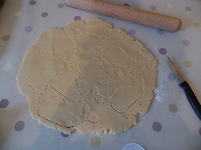 SAMSUNG CAMERA PICTURES