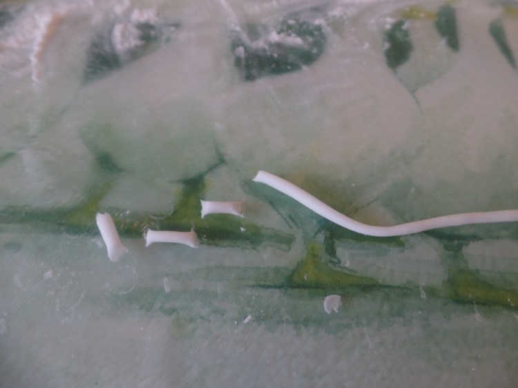 SAMSUNG CAMERA PICTURES