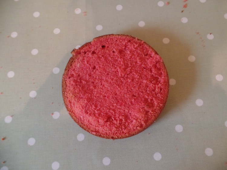 SAMSUNG CAMERA PICTURES