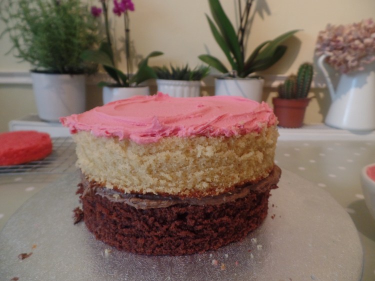 SAMSUNG CAMERA PICTURES