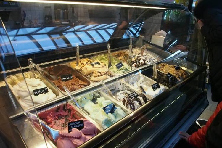 15390880_10210276000349835_3001654178914293011_n